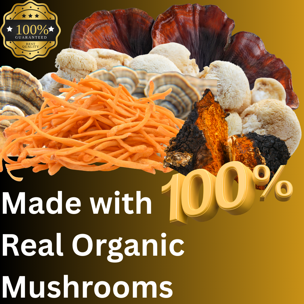Daily Routine Mushroom Tincture