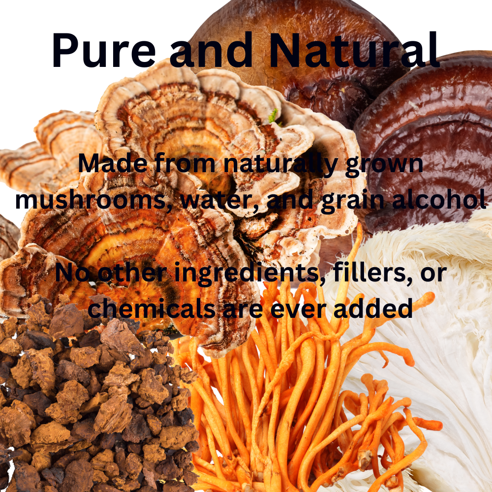 Daily Routine Mushroom Tincture