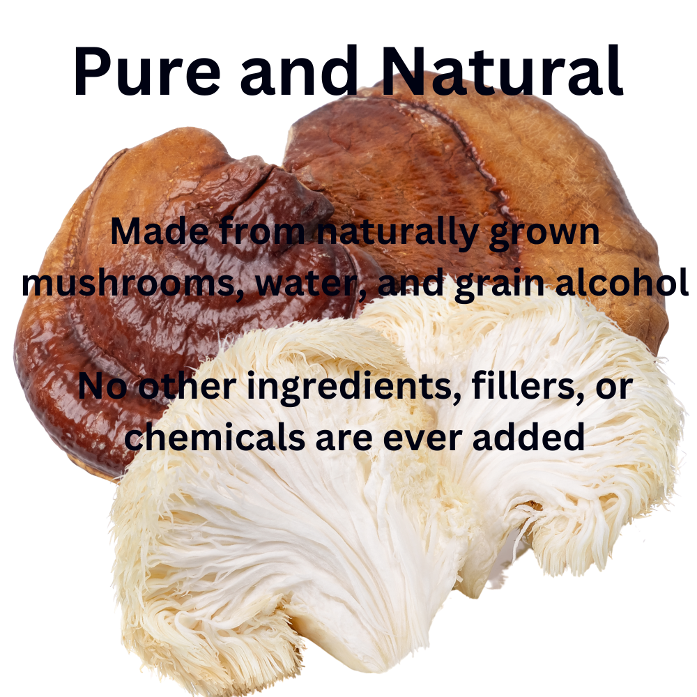 Evening Routine Mushroom Tincture