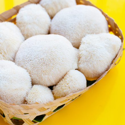 Lion's Mane Mushrooms