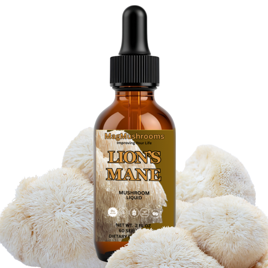 Lion's Mane Mushroom Alcohol Free Tincture
