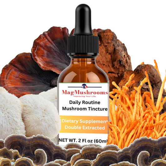 Daily Routine Mushroom Tincture