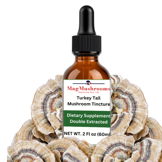 Turkey Tail Mushroom Tincture