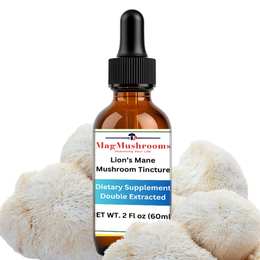 Lion's Mane Mushroom Tincture