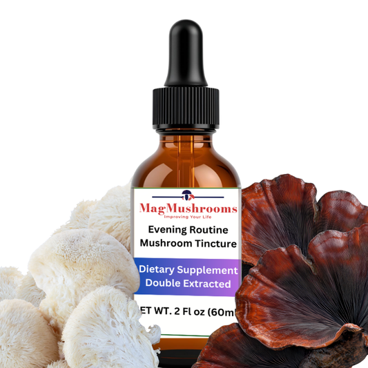 Evening Routine Mushroom Tincture