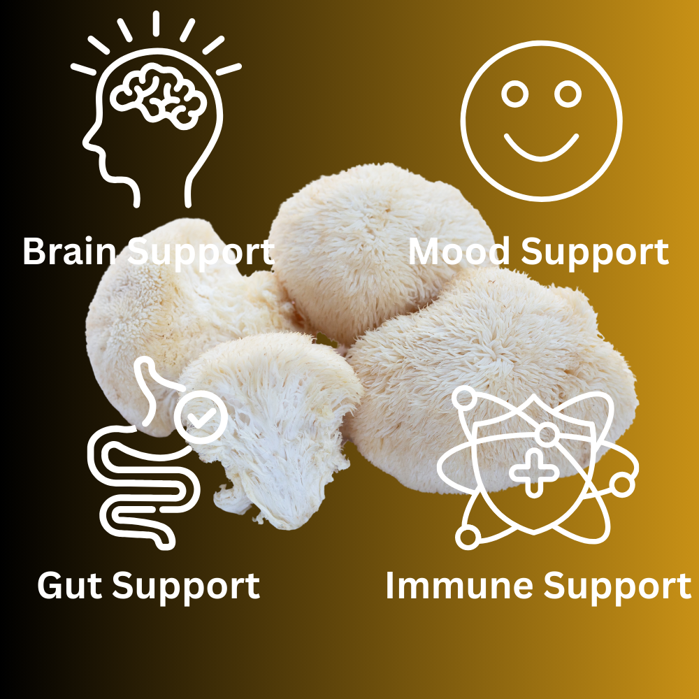 Lion's Mane Mushroom Gummies