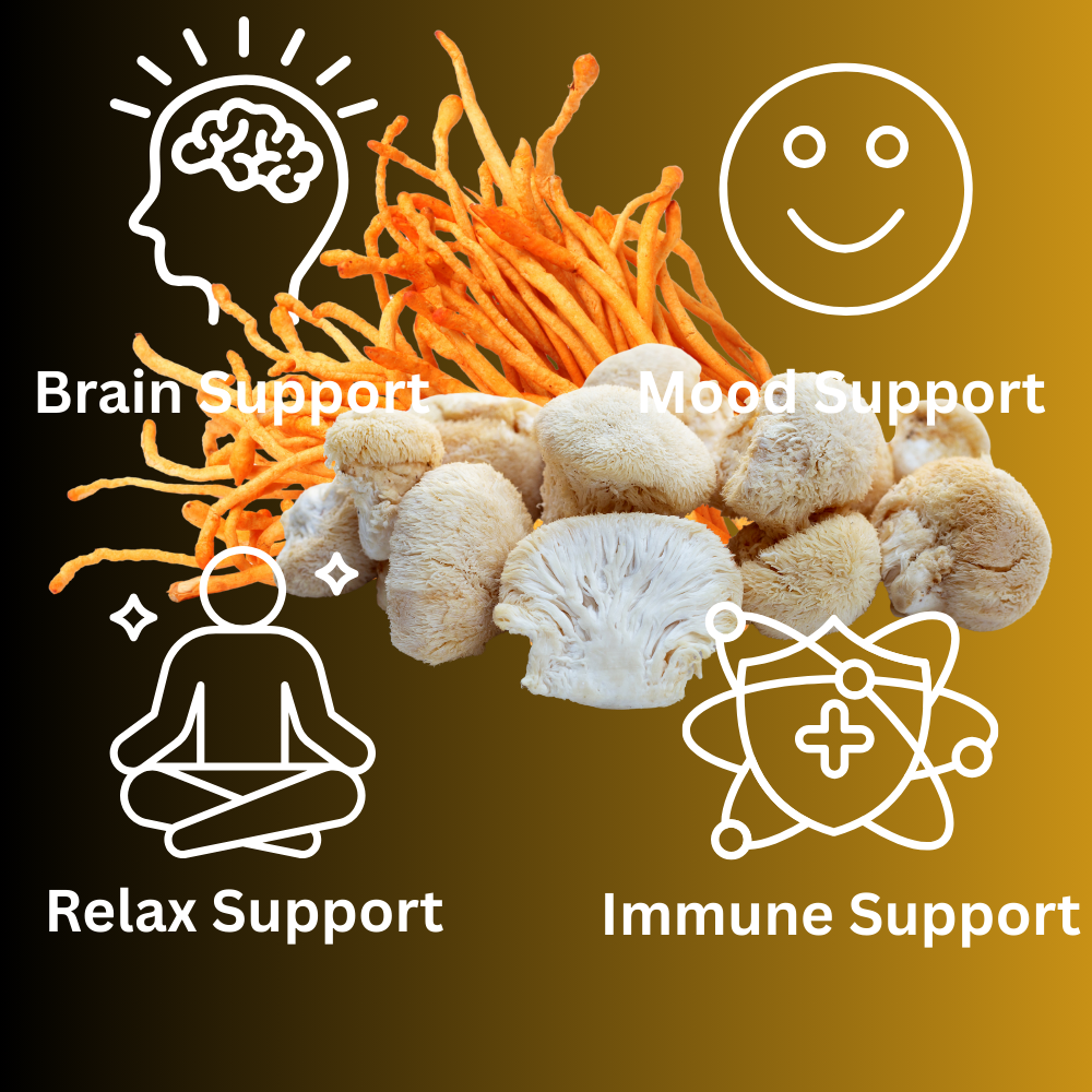 Morning Routine Mushroom Tincture