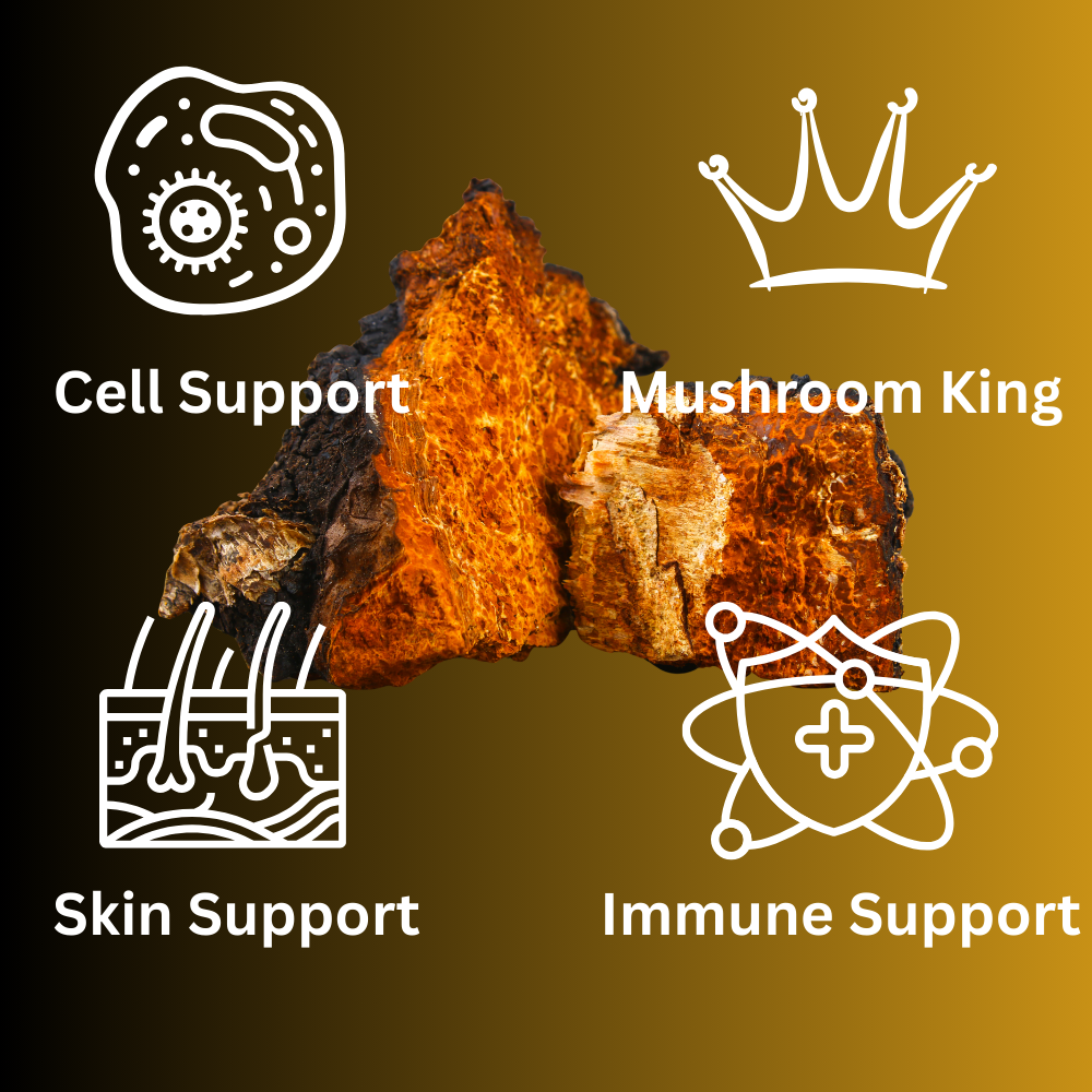 Chaga Mushroom Tincture