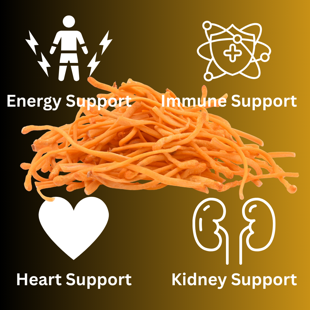 Cordyceps Mushroom Tincture
