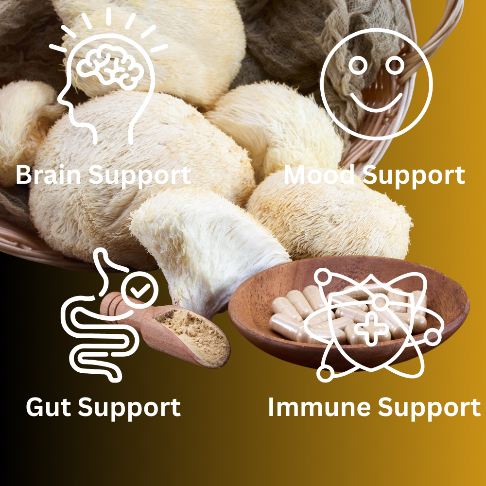 Lion's Mane Mushroom Capsules