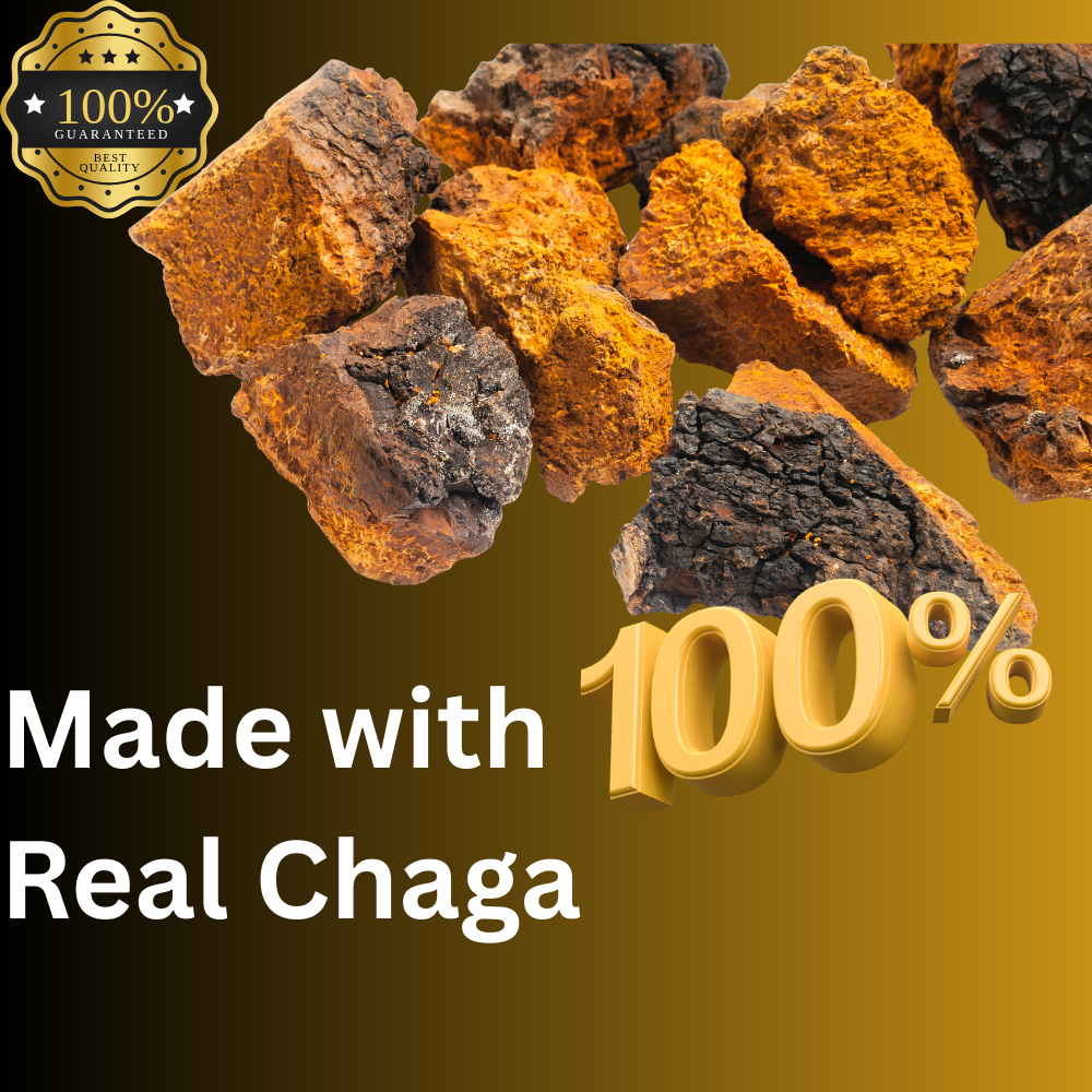 Chaga Mushroom Tincture
