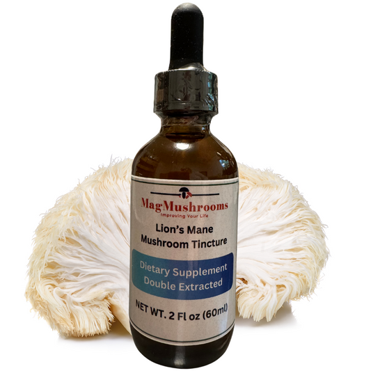 Lion's Mane Mushroom Tincture