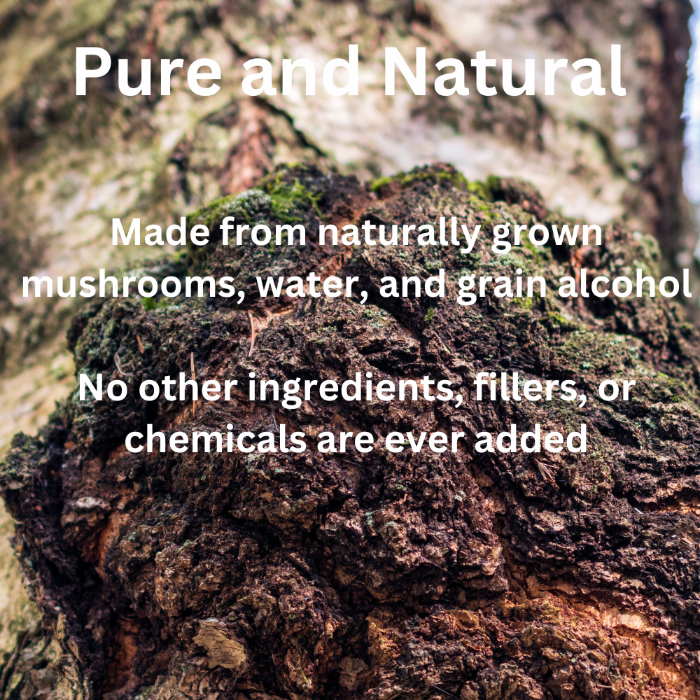 Turkey Tail Mushroom Tincture