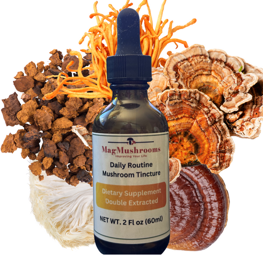 Daily Routine Mushroom Tincture