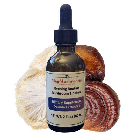 Evening Routine Mushroom Tincture