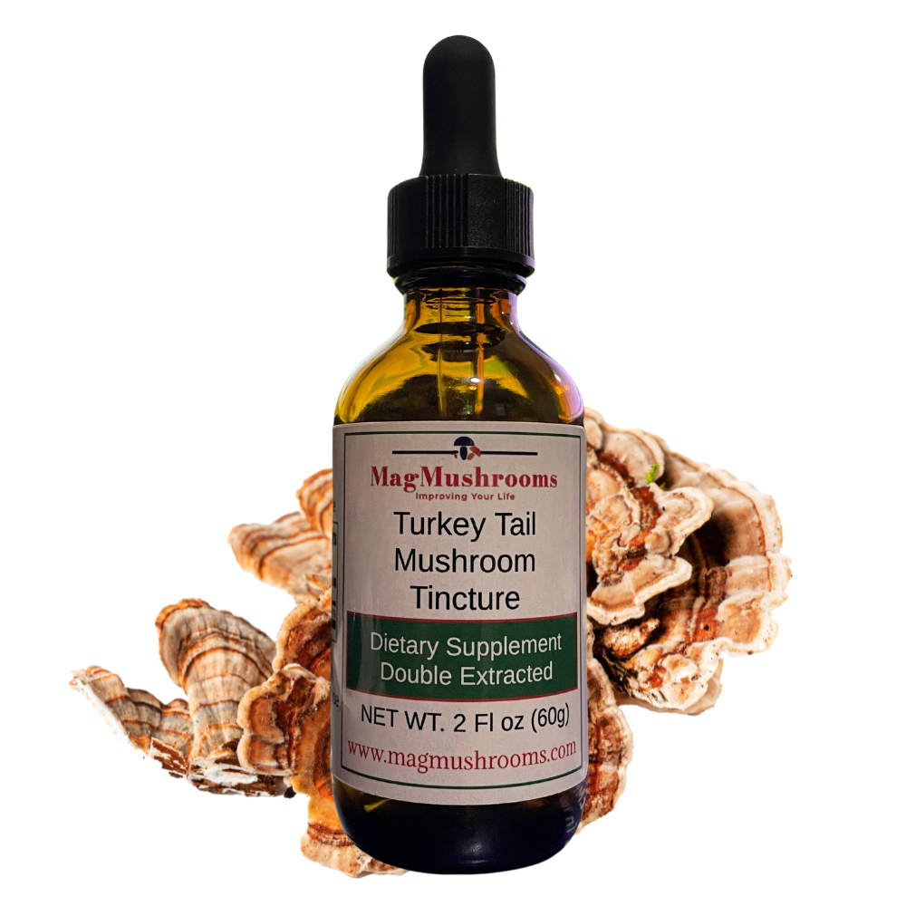 Turkey Tail Mushroom Tincture