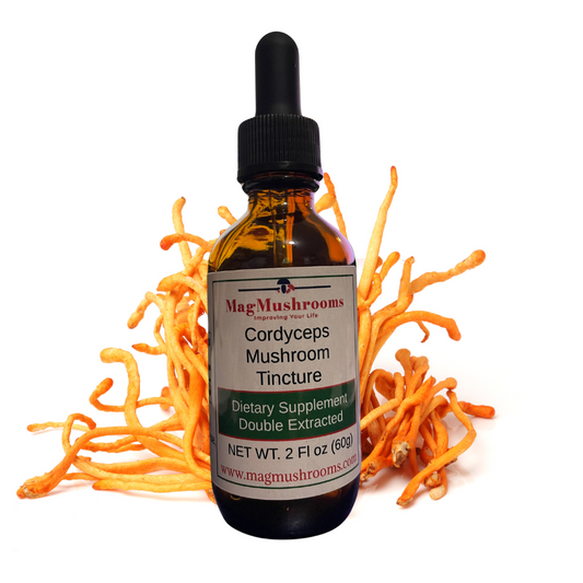 Cordyceps Mushroom Tincture
