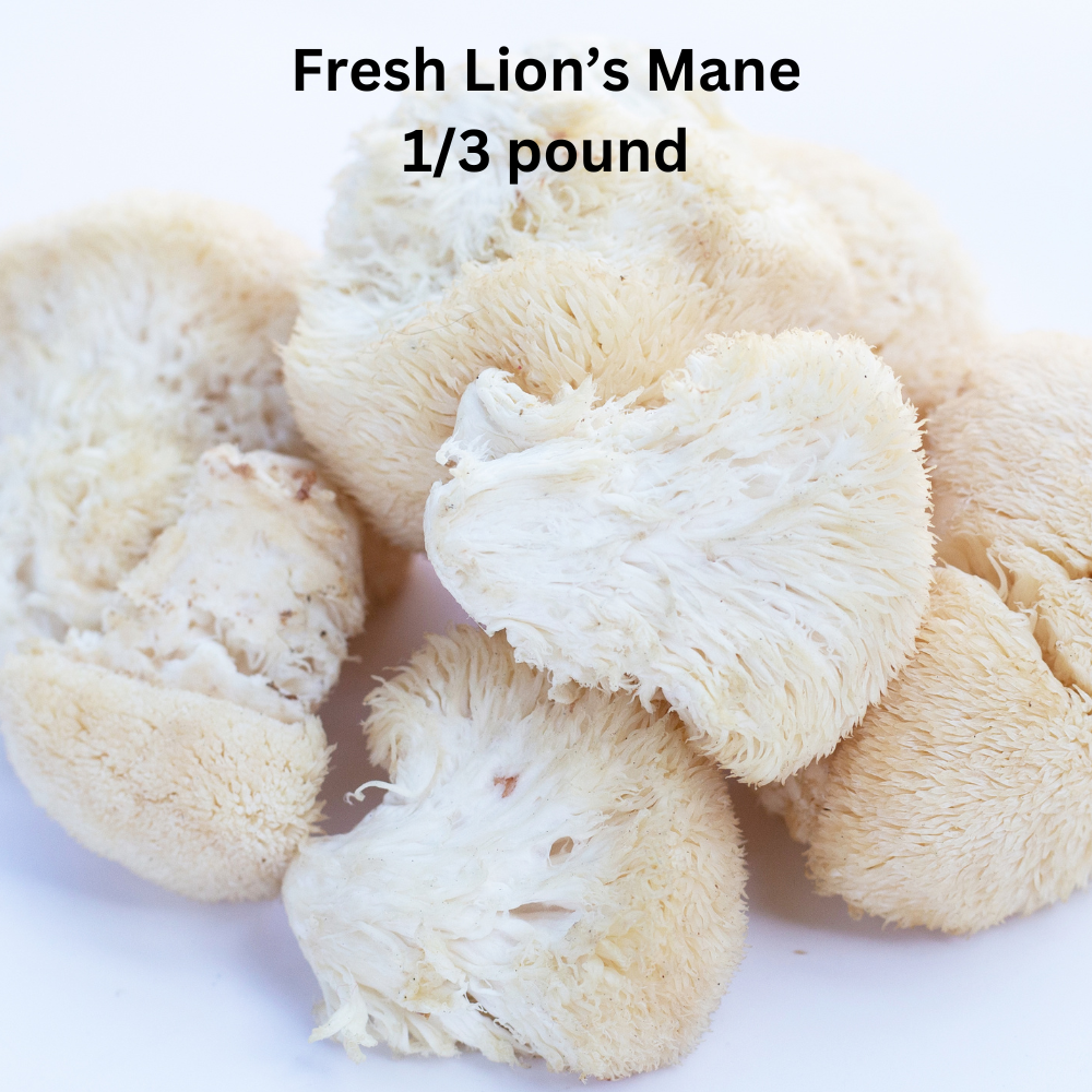 Lion's Mane Fresh Mushrooms