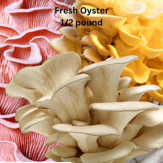 Oyster Fresh Mushrooms