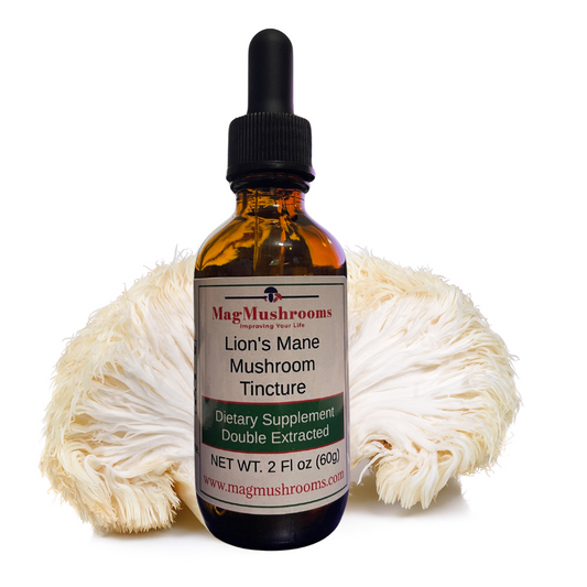 Lion's Mane Mushroom Tincture