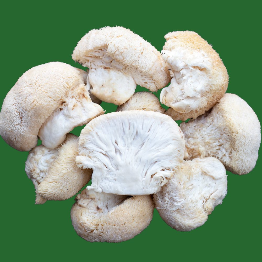 Lion's Mane Fresh Mushrooms