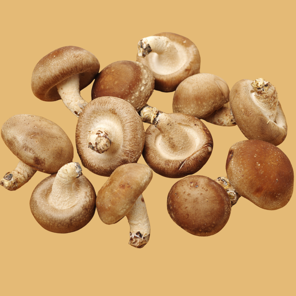 Shiitake Fresh Mushrooms