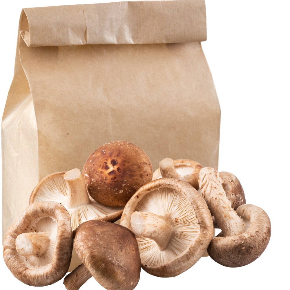 Shiitake Fresh Mushrooms